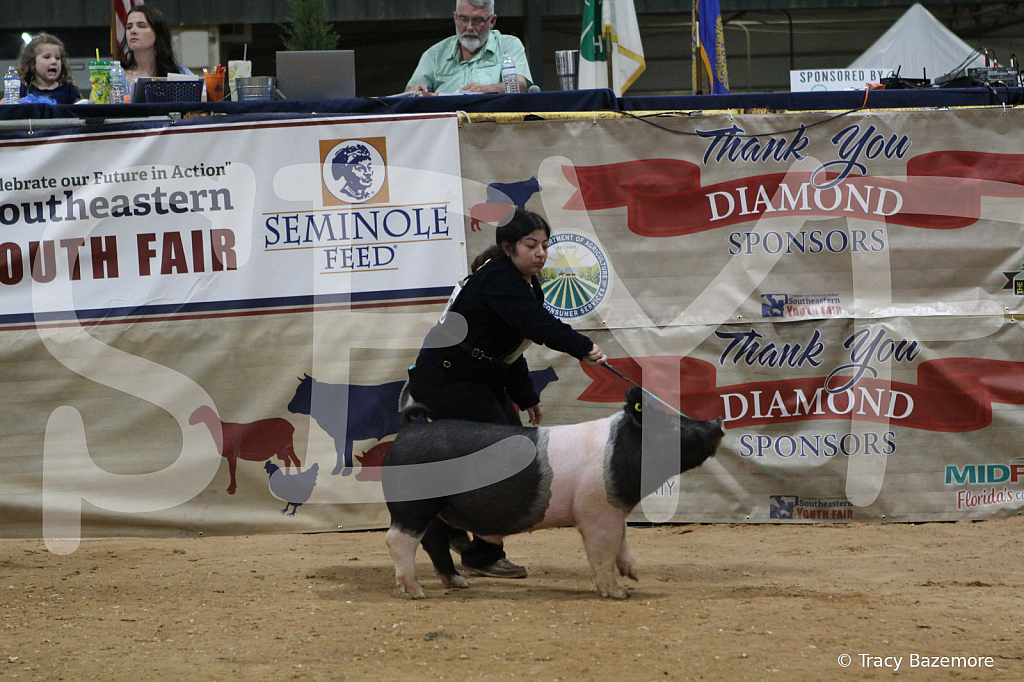 swine0981