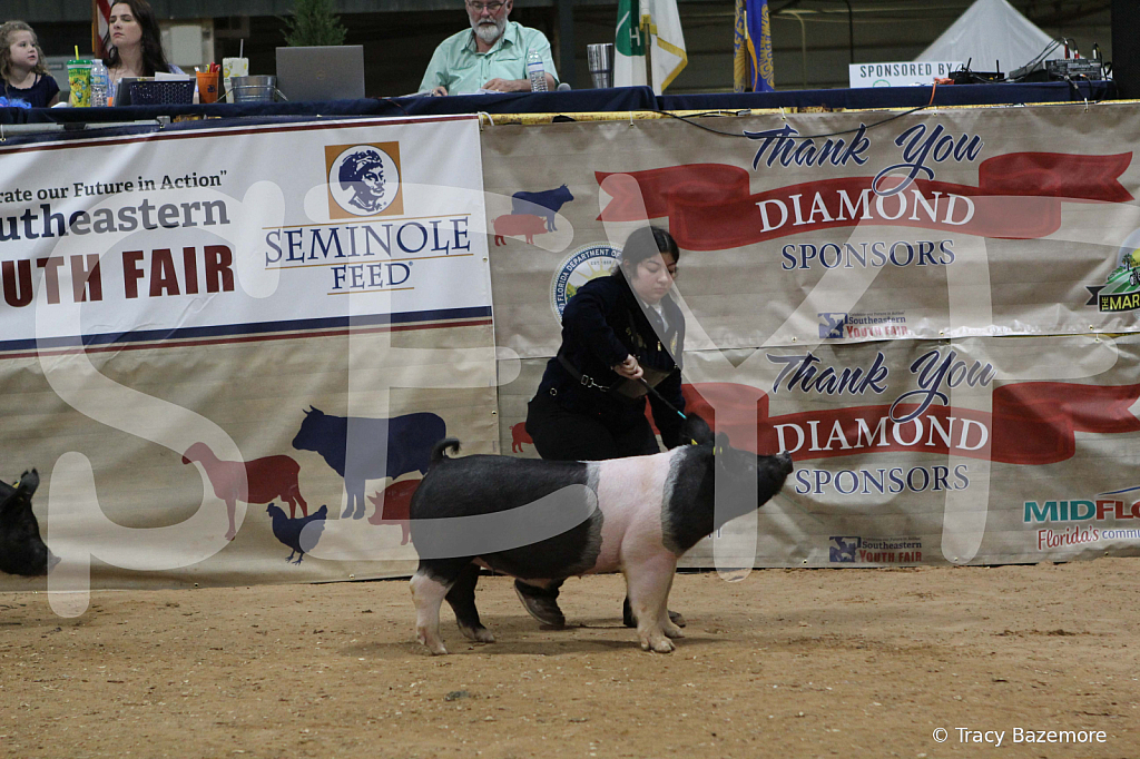swine0982