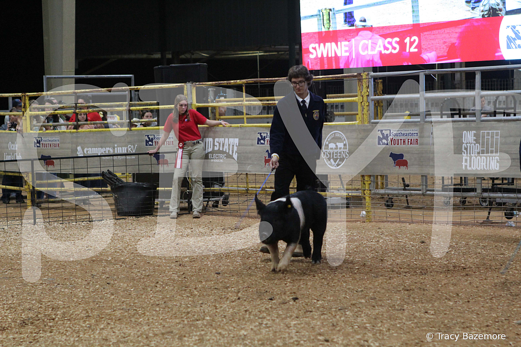 swine0985
