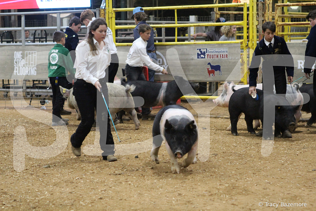 swine0986