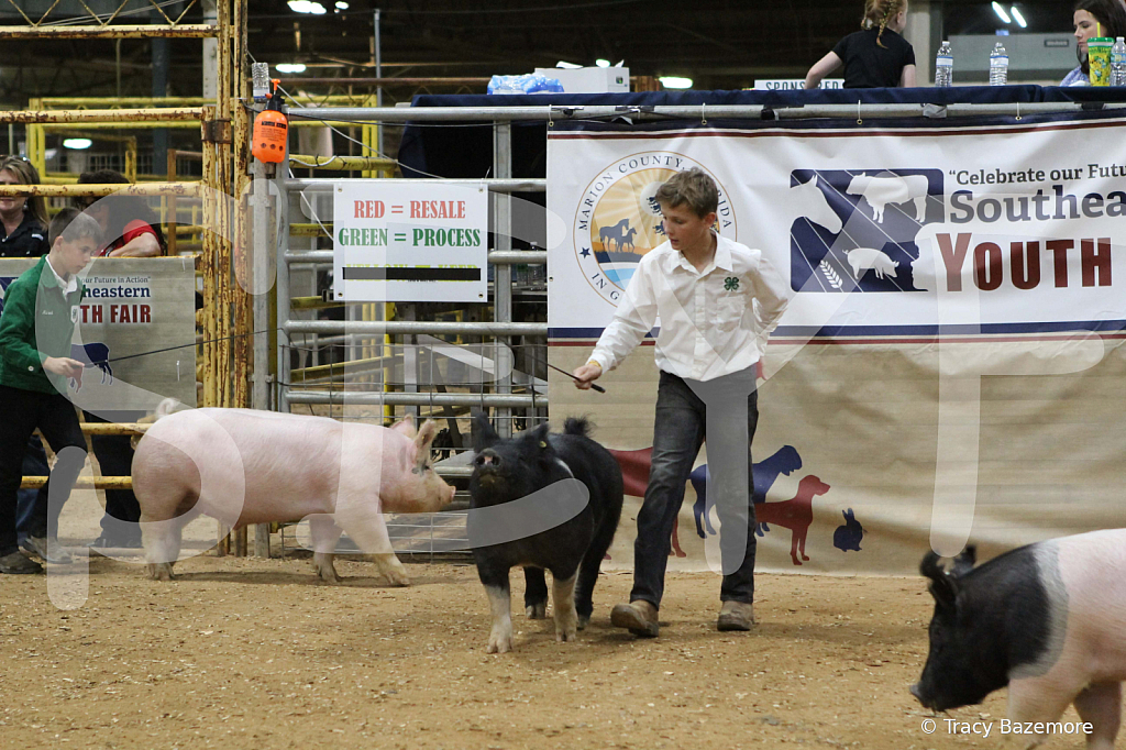 swine0988
