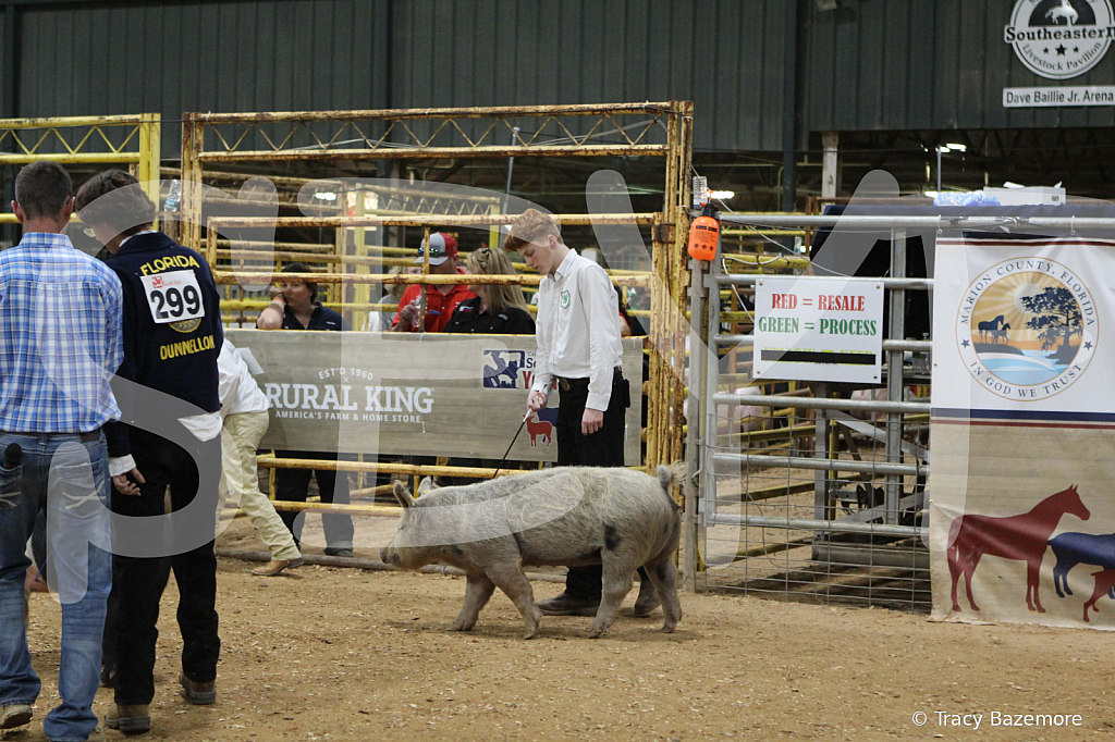 swine0990