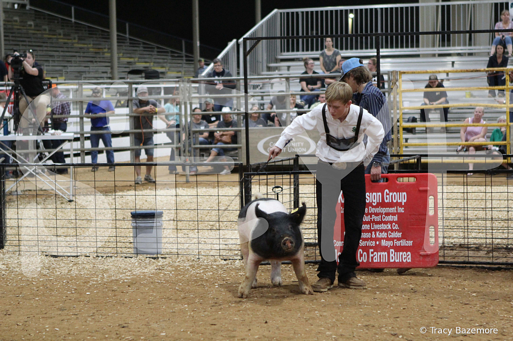 swine0991
