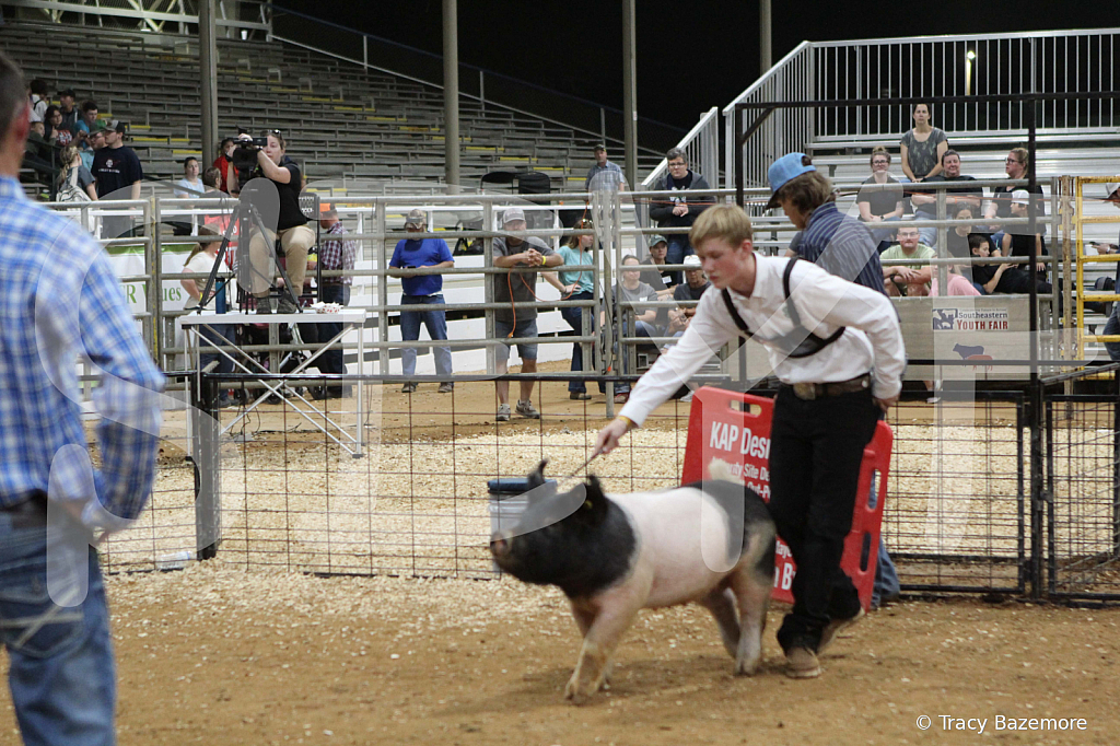 swine0992