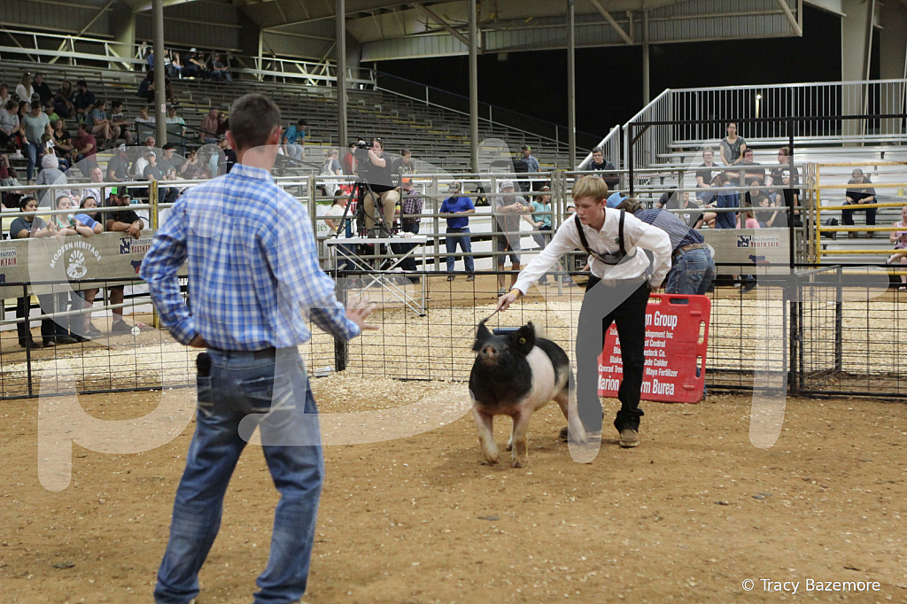 swine0993