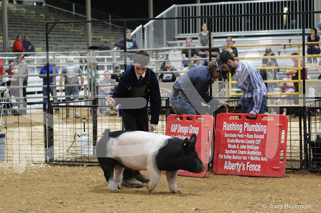 swine0995