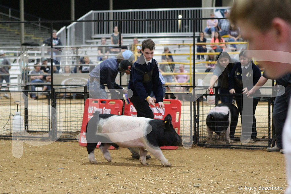 swine0996