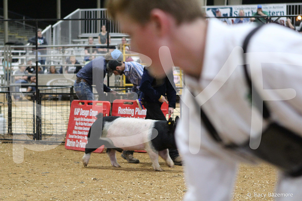 swine0997