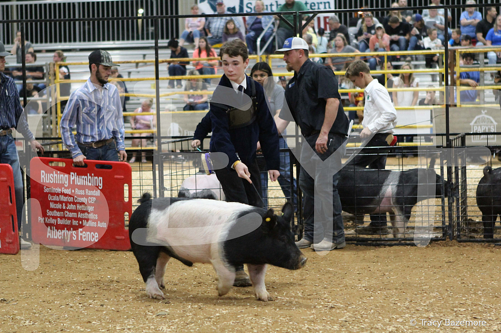 swine0998