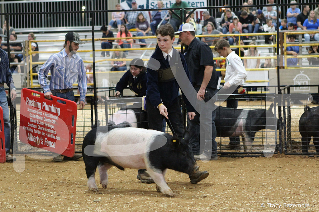 swine0999