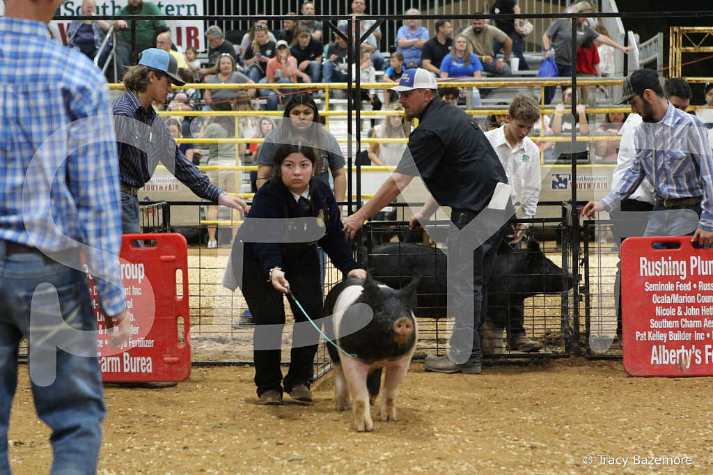 swine1001
