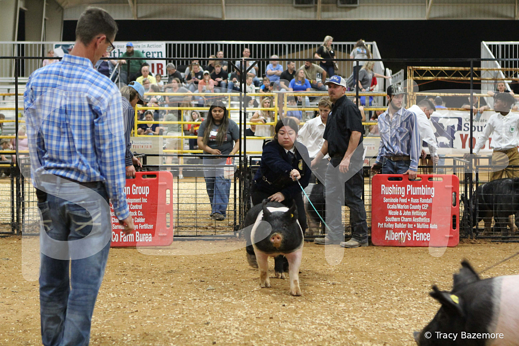 swine1002