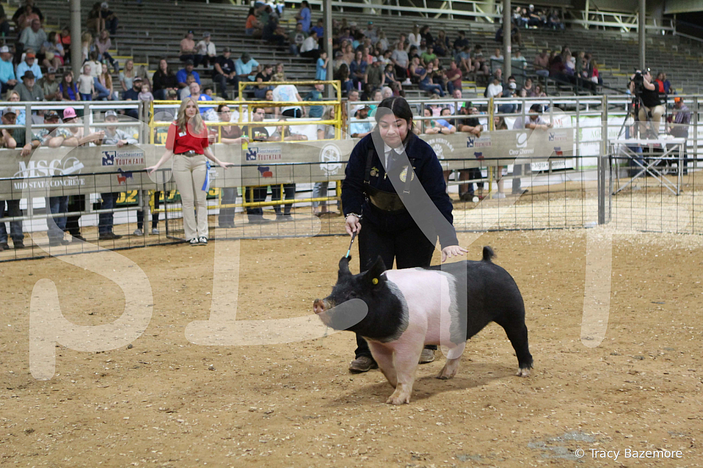 swine1004