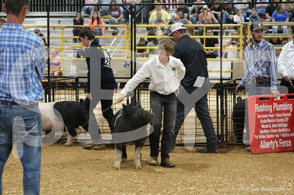 swine1005