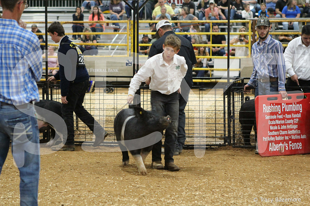swine1006