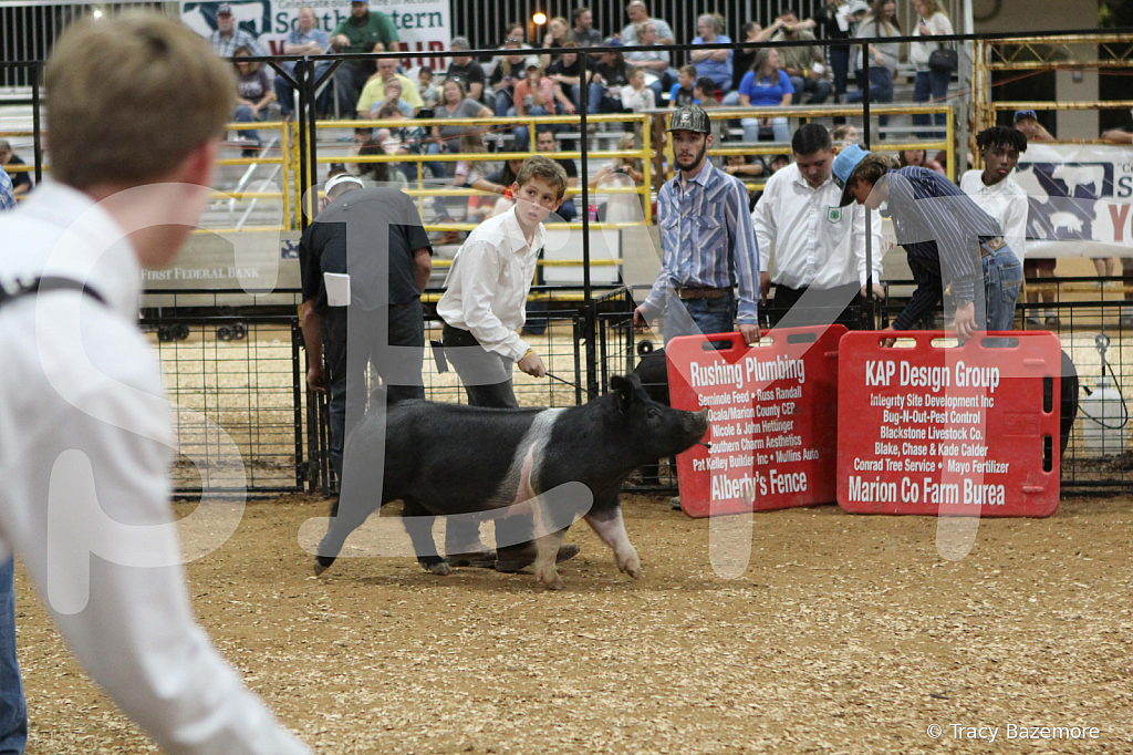 swine1007