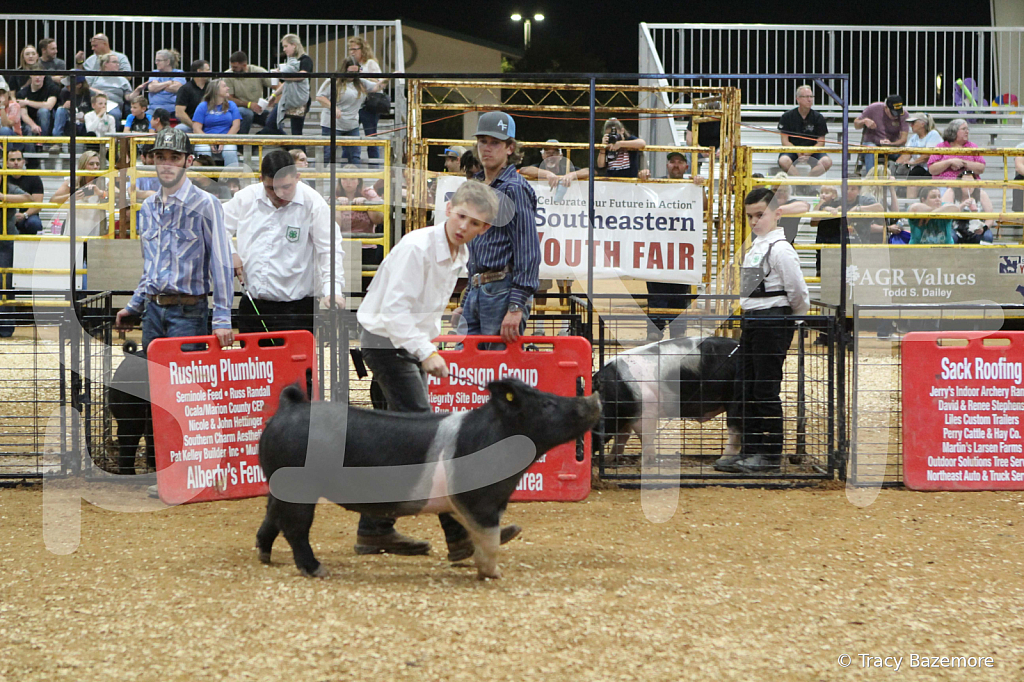 swine1008