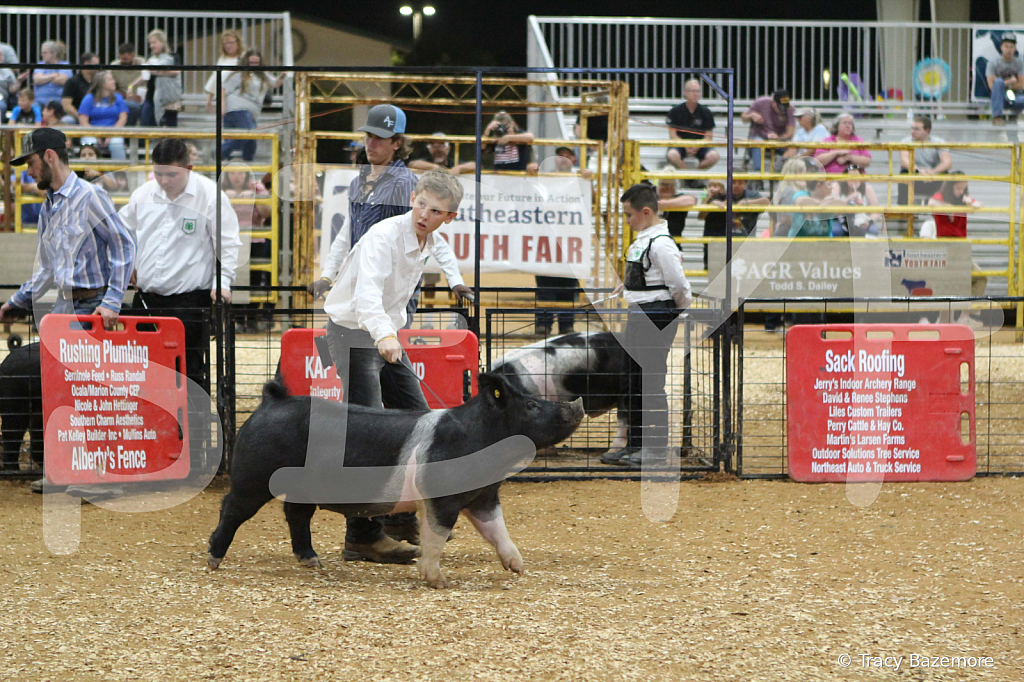 swine1009