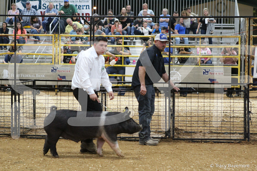 swine1010