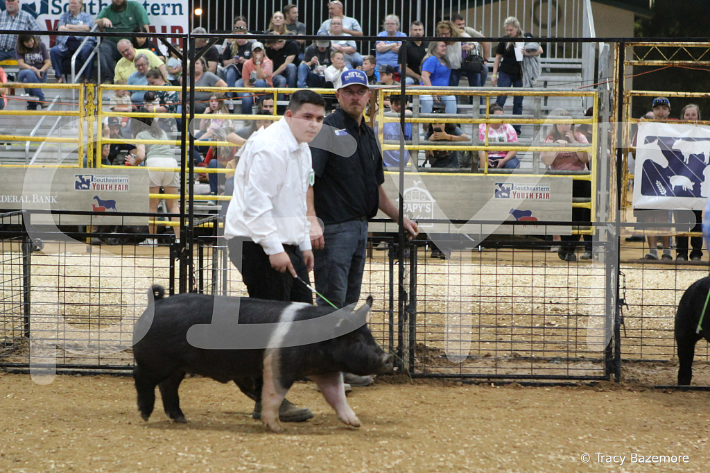 swine1011