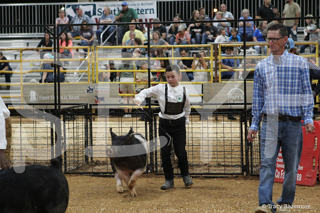 swine1015