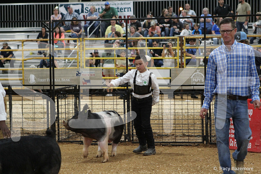 swine1016