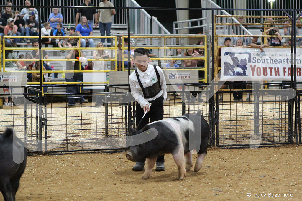 swine1018