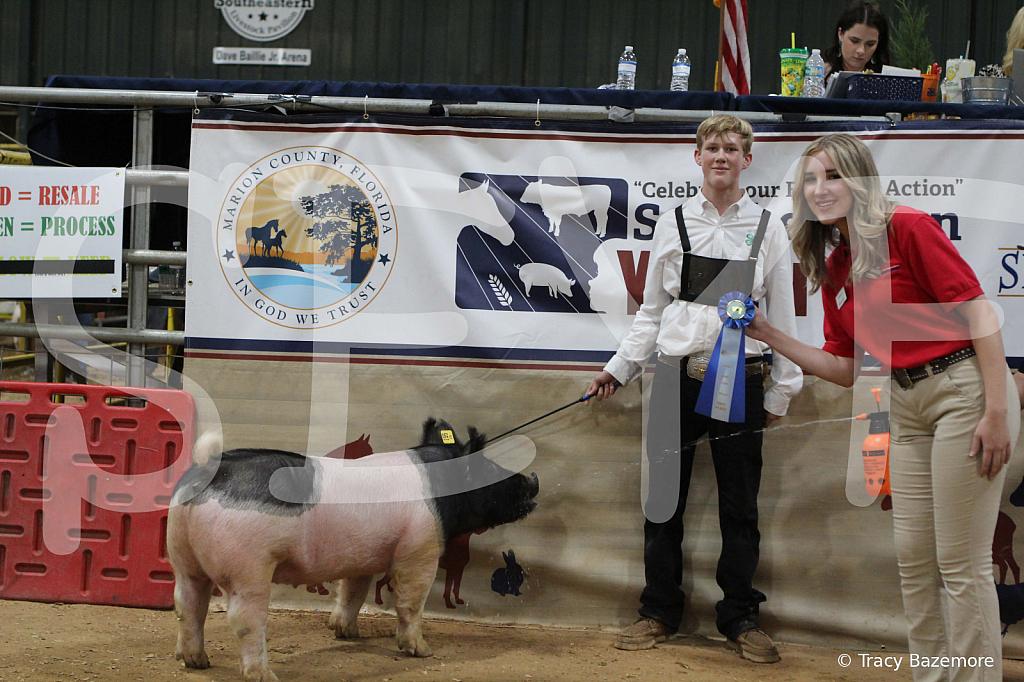 swine1020