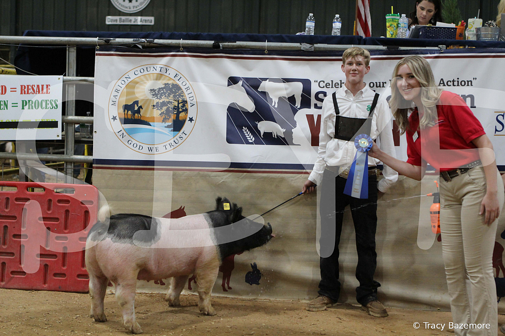 swine1021
