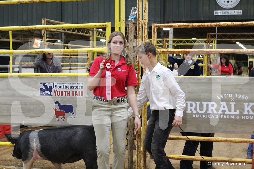 swine1022