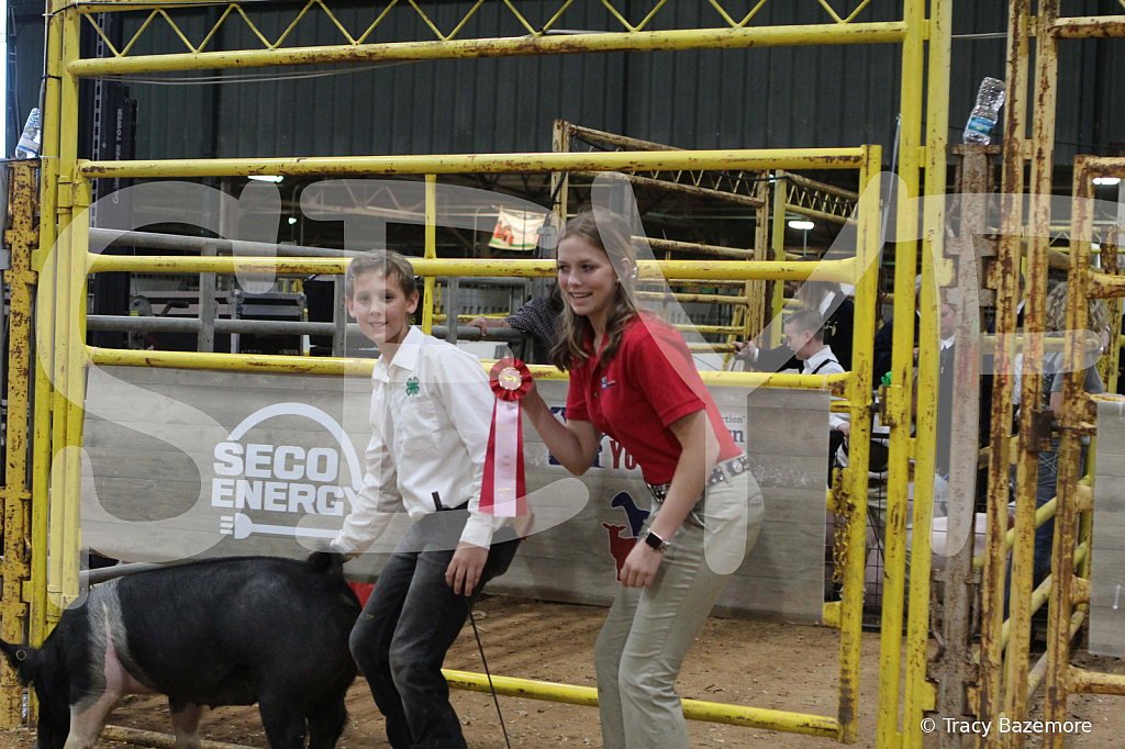swine1024