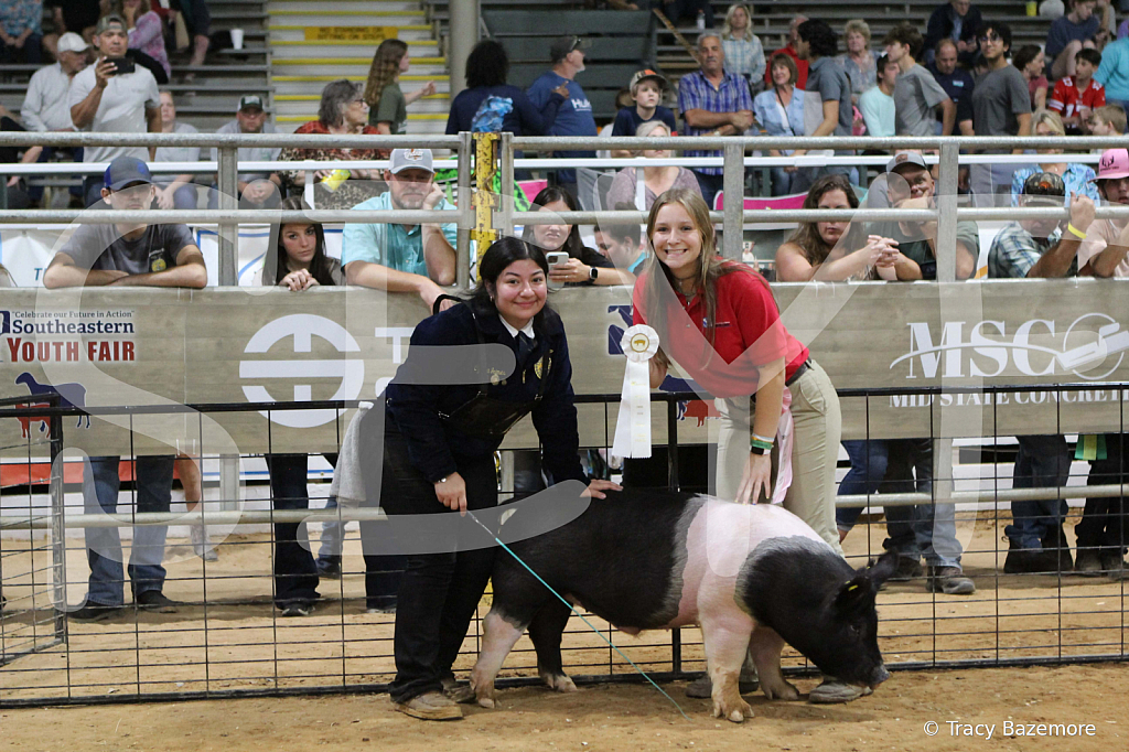 swine1025