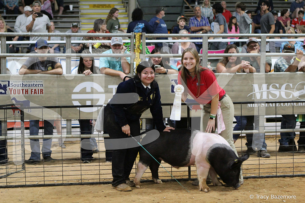 swine1026