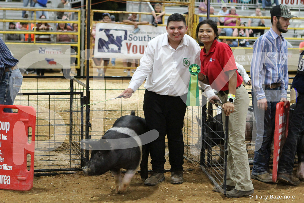 swine1030