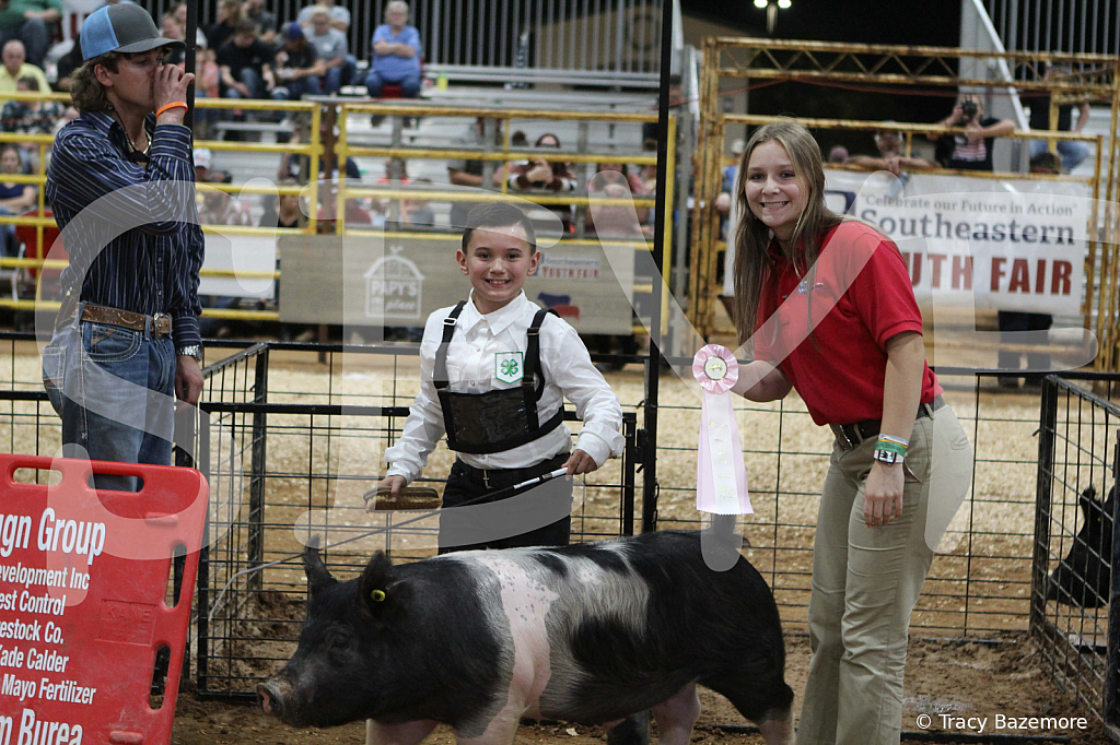 swine1031