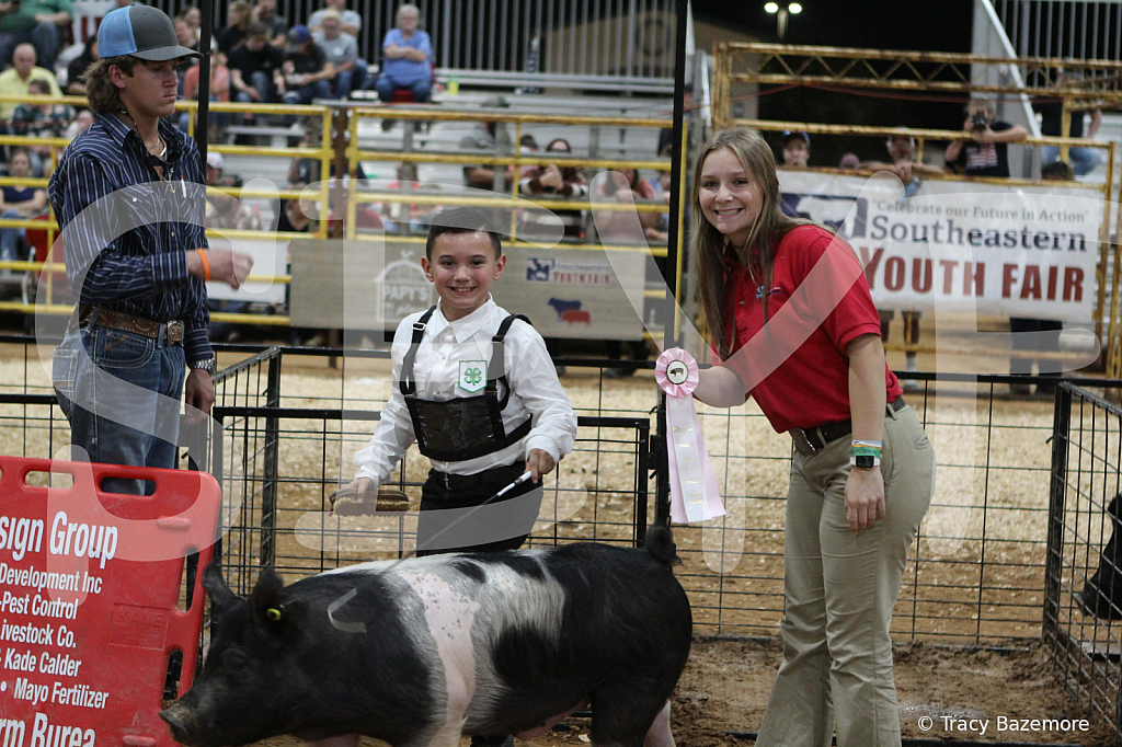 swine1032