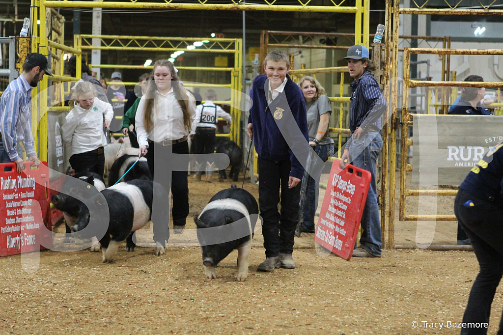 swine1042