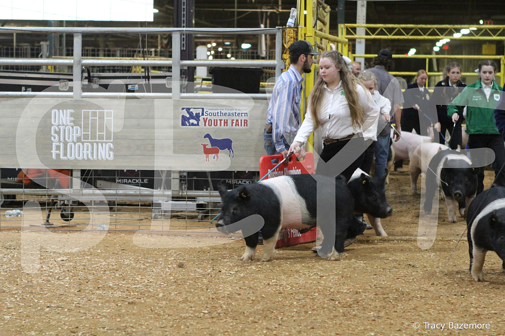 swine1044