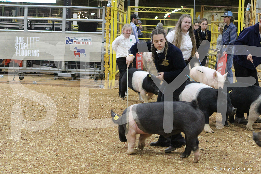 swine1045
