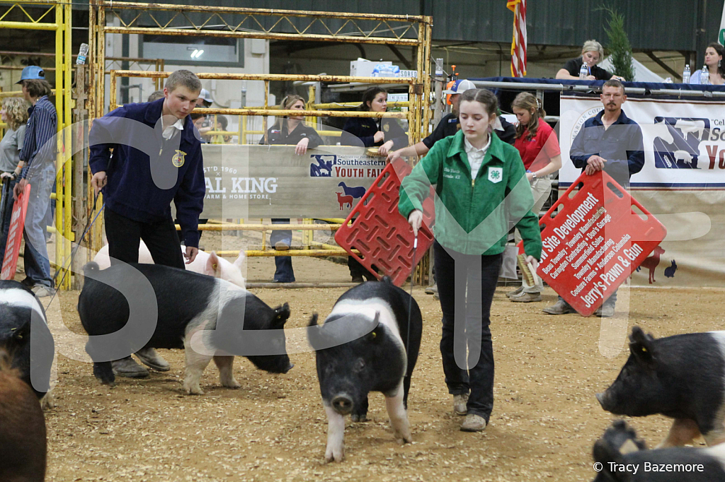 swine1046
