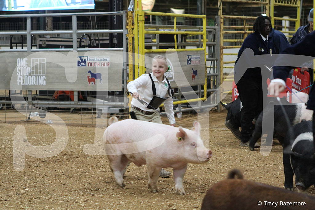 swine1047