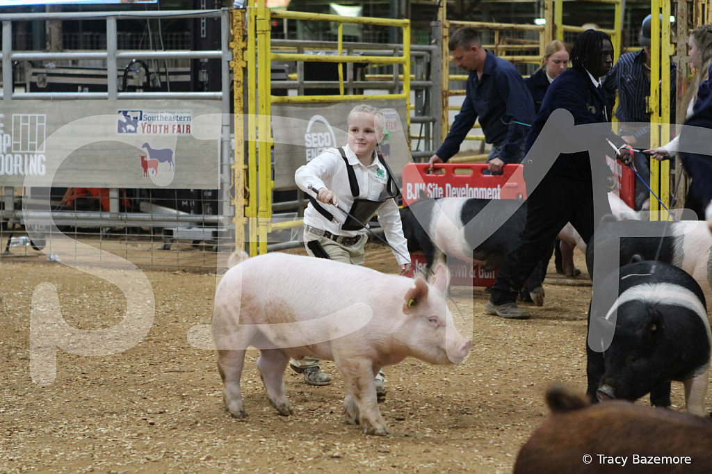 swine1048