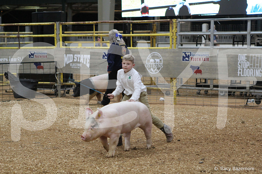 swine1049