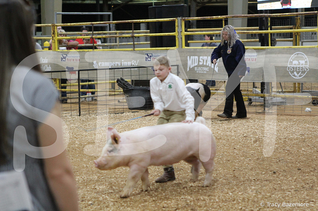 swine1050