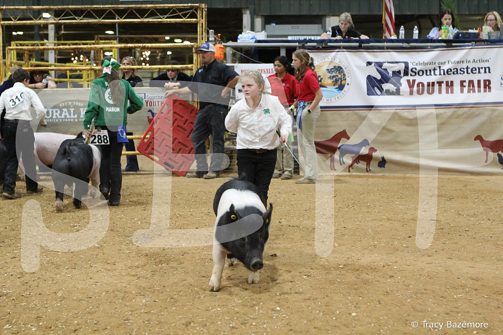 swine1051