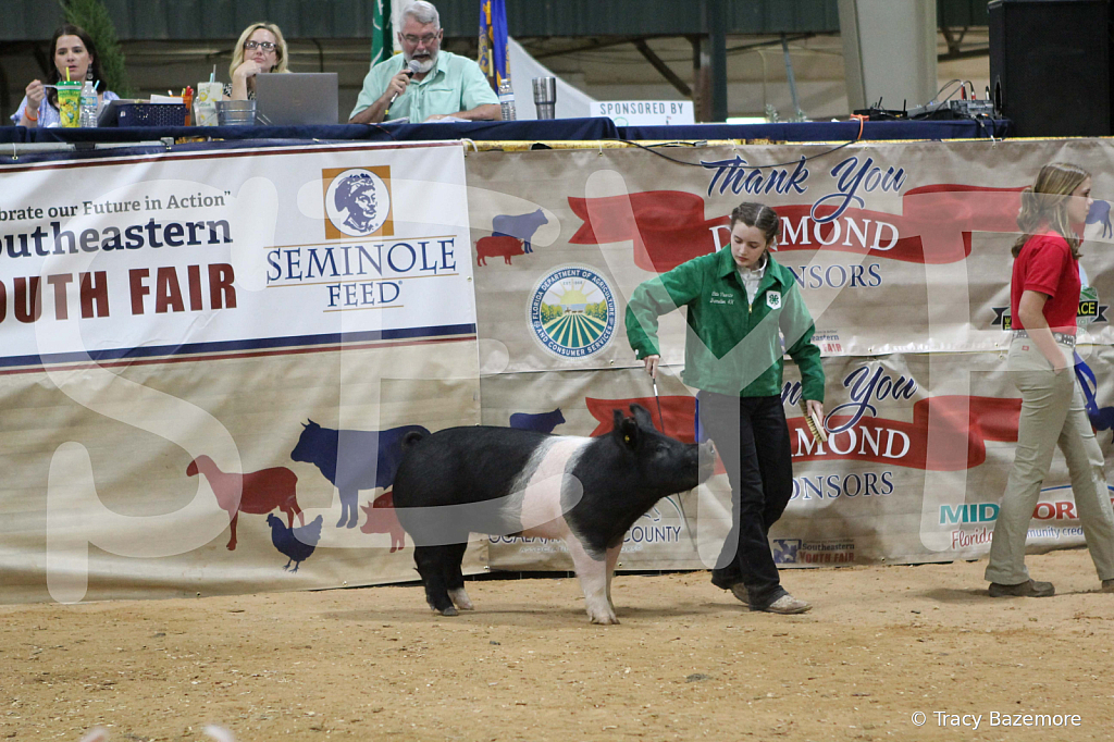 swine1053