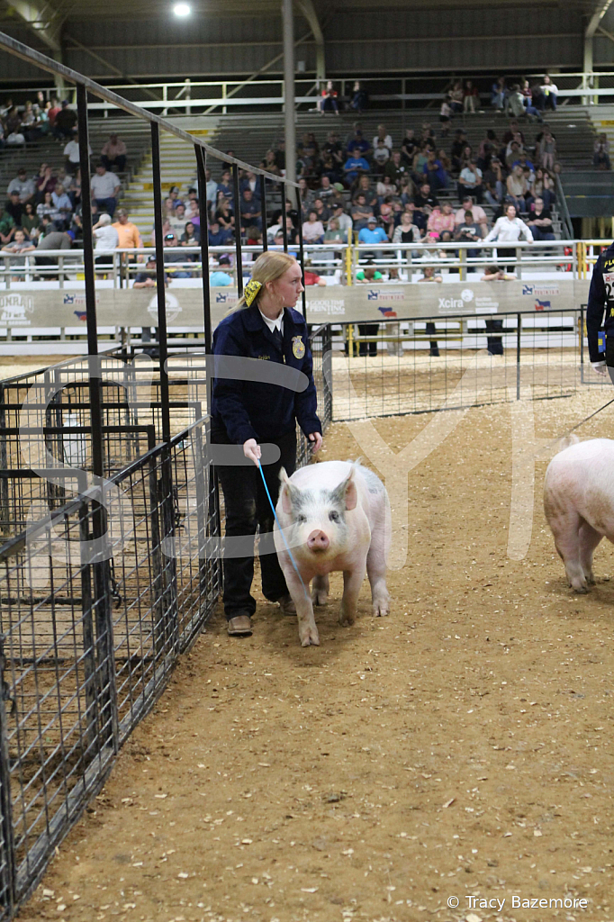 swine1055