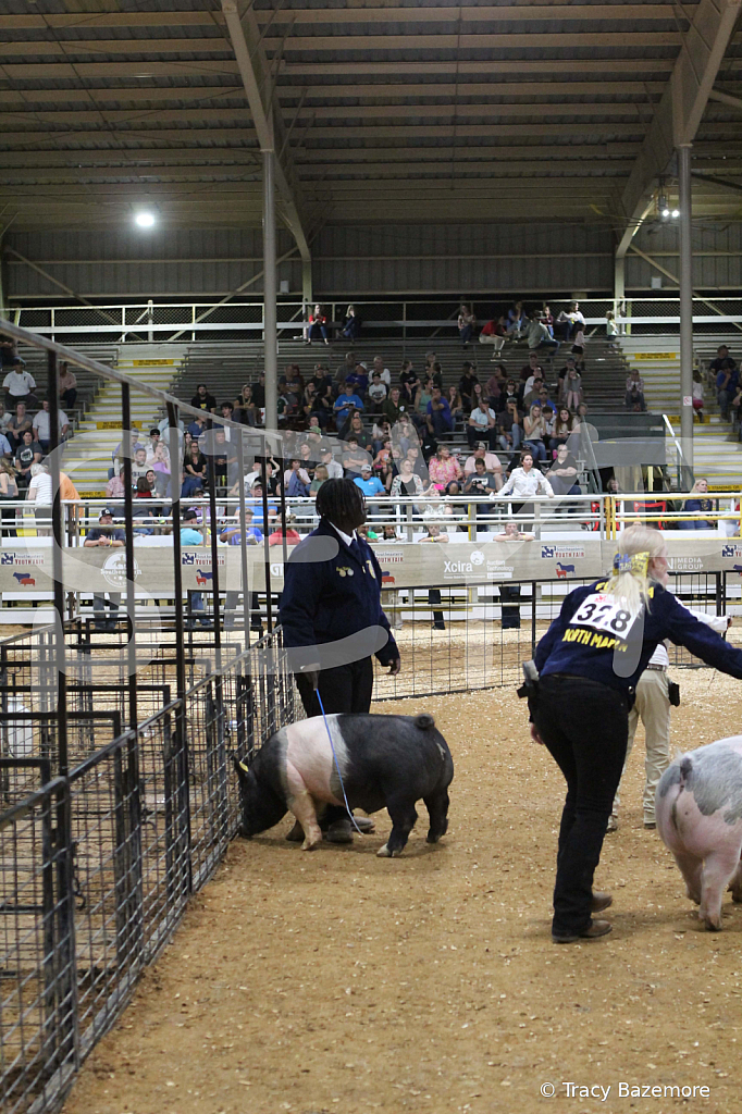 swine1057