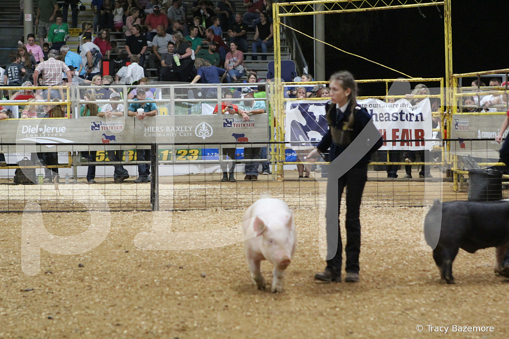 swine1062