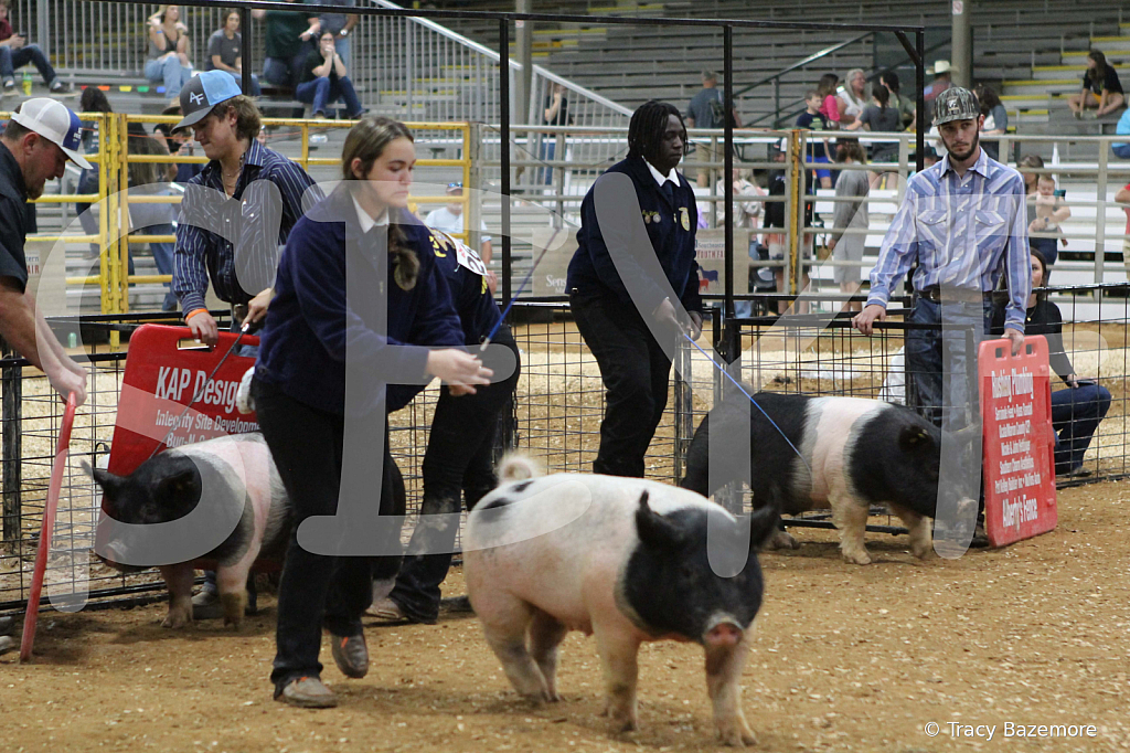 swine1063